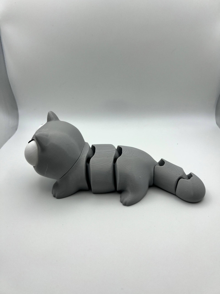 Кот с подвижными глазами