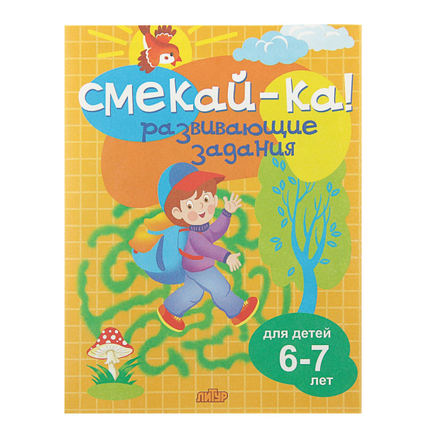 «Развивающие задания для детей 6-7 лет»