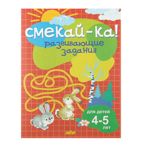 «Развивающие задания для детей 4-5 лет»